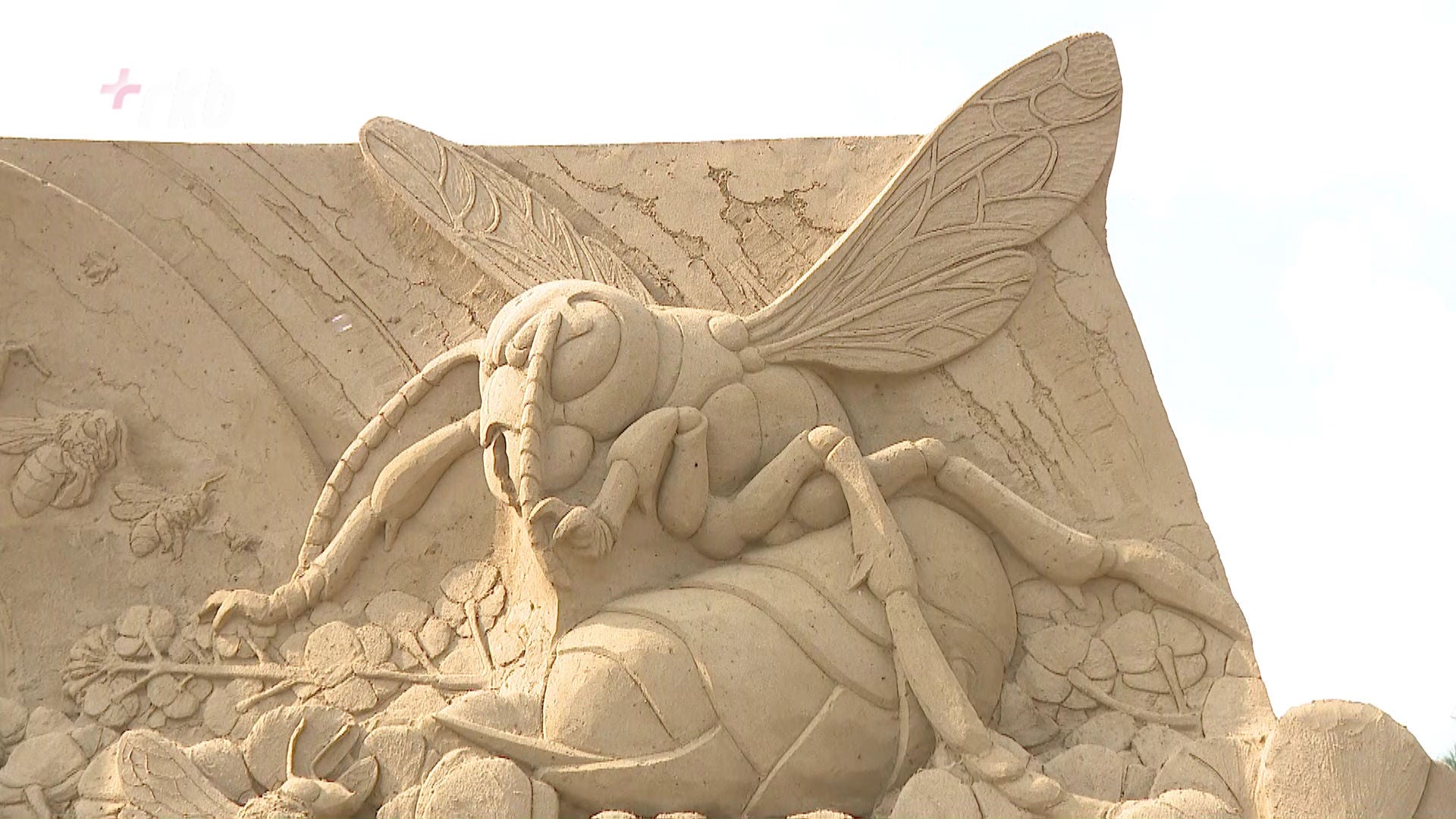 巨大なカブトムシにカマキリ、よく見ると“砂と水”だけでできていた